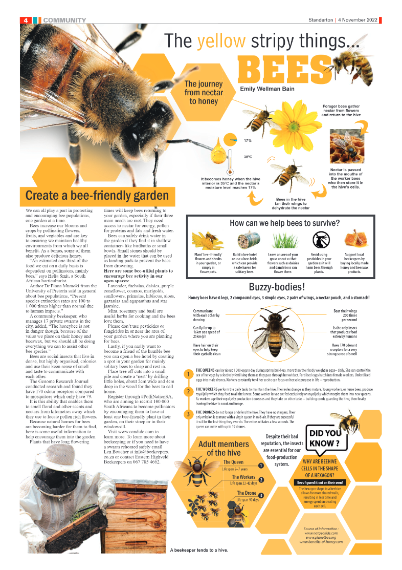 Standerton Advertiser 4 Nov 2022 page 4